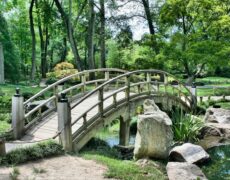 Descubre la belleza de Austria con turismoaustria.com: el mejor aliado para tu viaje